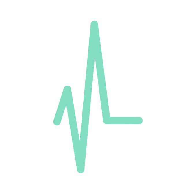 Logo FitPULS, klient marketingu ze severního okraje Prahy
